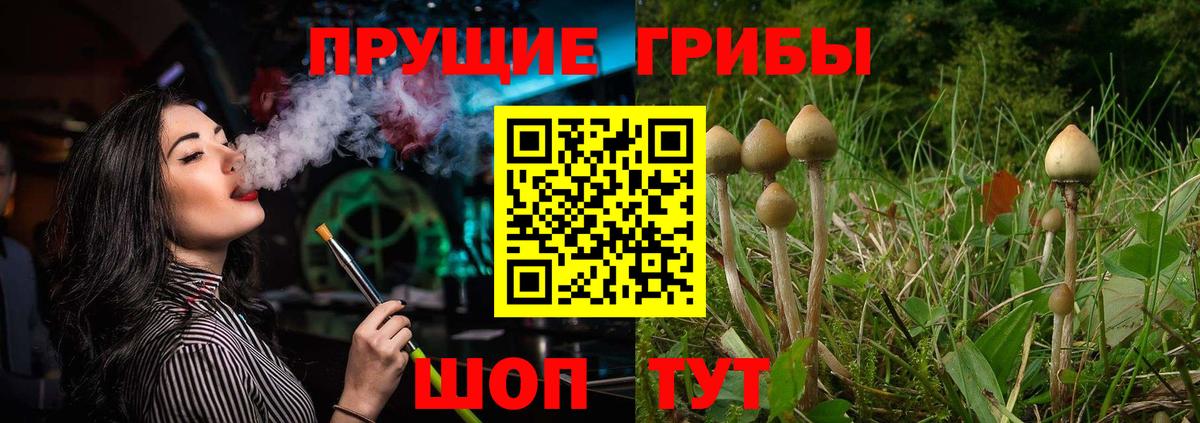 Псилоцибиновые грибы мухоморы Малгобек
