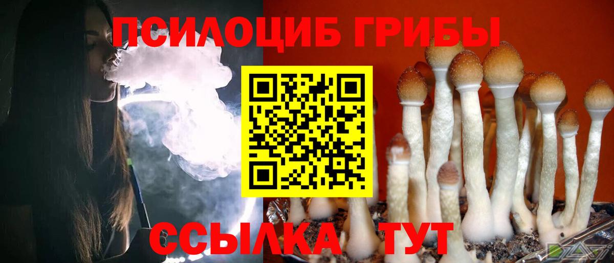 Малгобек  Галлюциногенные грибы GOLDEN TEACHER  купить   Вход с VPN 
